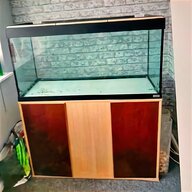 200l fish tank for sale