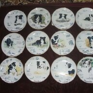 border collie plates for sale