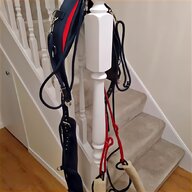 pessoa lunging system for sale