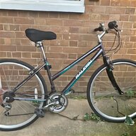 raleigh model for sale