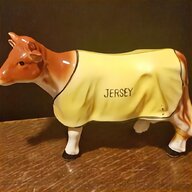 jersey cow for sale