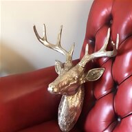 deer head for sale