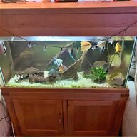 marina fish tanks for sale
