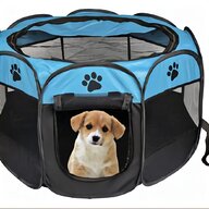 dog tent for sale