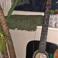 banjo guitar for sale