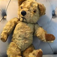pedigree bear for sale