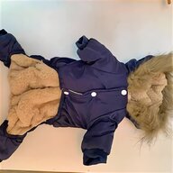 large greyhound coats for sale