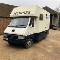 horsebox horse lorry horsebox for sale