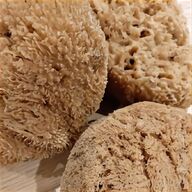 natural sponges for sale