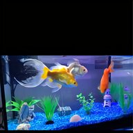 complete fish tanks for sale