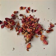 dried rose buds for sale