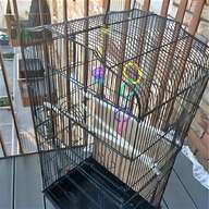 budgie cages for sale