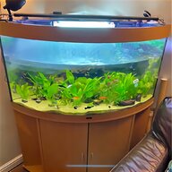 corner fish tank for sale