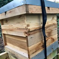 wbc hive for sale