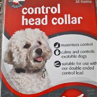 control headcollar for sale