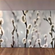 canvas wall art for sale