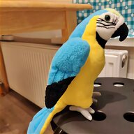 parrots for sale for sale