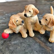 golden puppies for sale