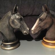 leonardo collection horses for sale
