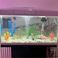 fish tanks for sale