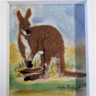 kangaroo dog for sale