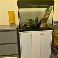 100l fish tank for sale