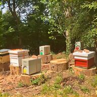 beekeeping hives for sale