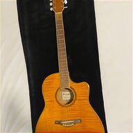 burswood acoustic guitar for sale