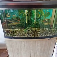 fish tank equipment for sale