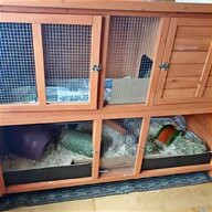 outdoor guinea pig hutch for sale