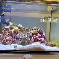 fluval edge aquarium for sale