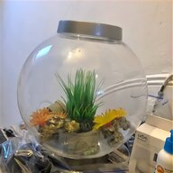 bio orb fish tank for sale