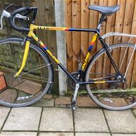 raleigh for sale