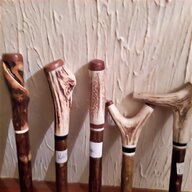 walking stick rams horn for sale