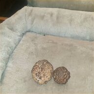 large meteorite for sale