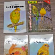 canary books for sale
