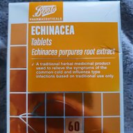 echinacea for sale