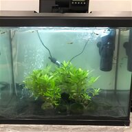juwel aquariums tanks for sale