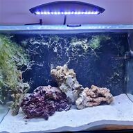 100 gallon water tank for sale
