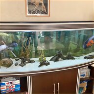 6ft aquarium for sale