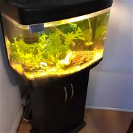corner fish tank for sale