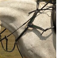 5 point breastplate for sale