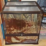 tarantula tank for sale