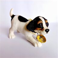 russell terrier puppies for sale