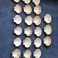 sea shells crafts for sale