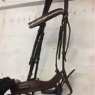 comfort bridle for sale