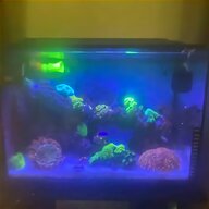 nano reef tank for sale