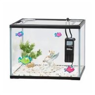 swindon fish tank for sale