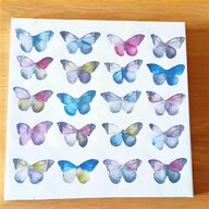mounted butterflies for sale