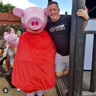 peppa pig costume hire for sale